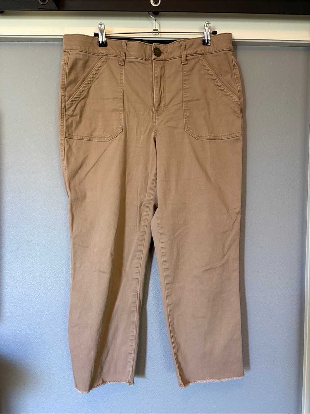 Wit & Wisdom Cropped Ankle Pants in Light Brown